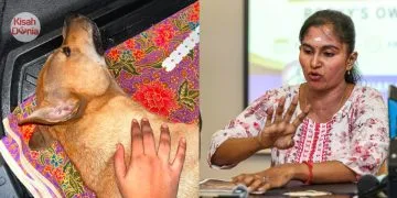 Rocky Dianiaya Sehingga Terberak, Tuan Anjing Dedah Kronologi Malam Kejadian
